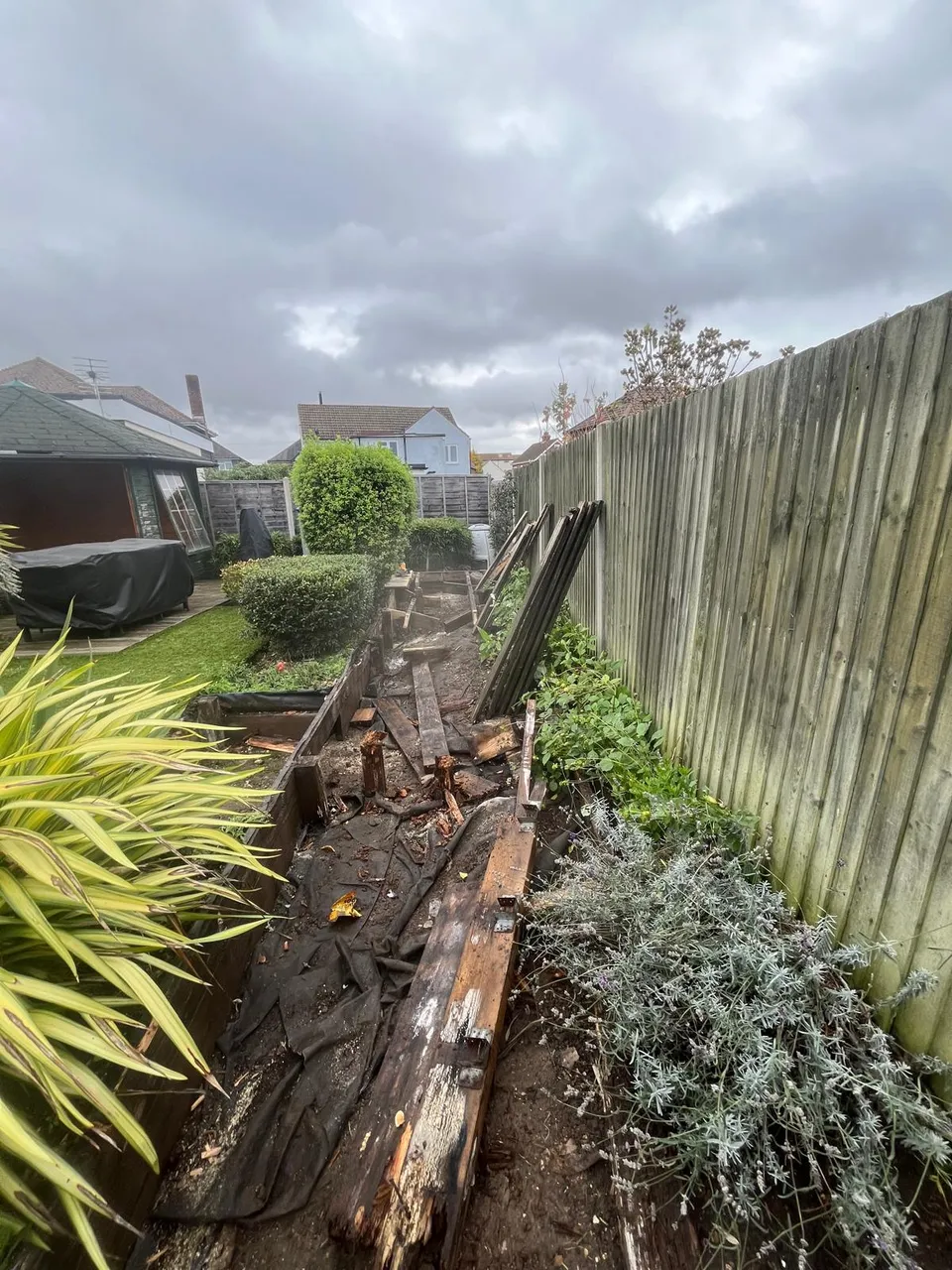 Old timber decking and overgrown border before the work